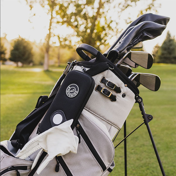 case-bao-ve-gang-stripebird