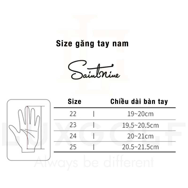 Size-gang-tay-nam-Saintnine